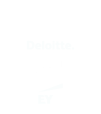 PWC, Deloitte, KMPG, and EY Company Logos