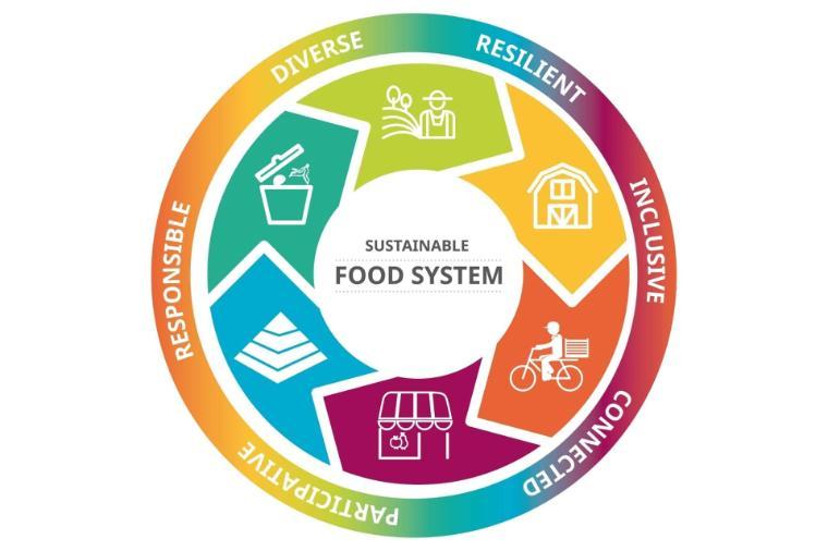 Food system graphic