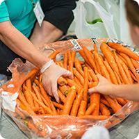 Picture of hands grabbing carrots from a pile