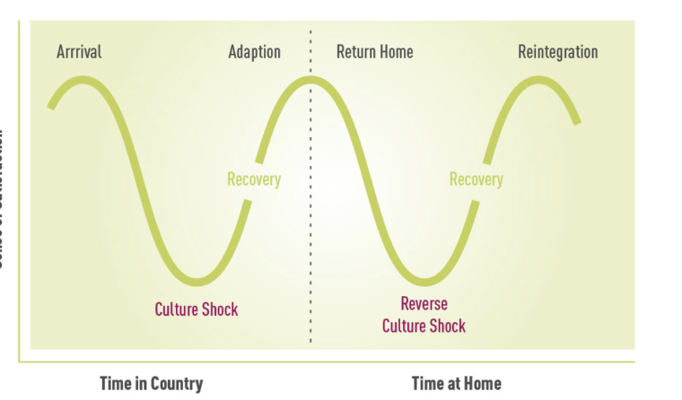 Stages of Culture Shock