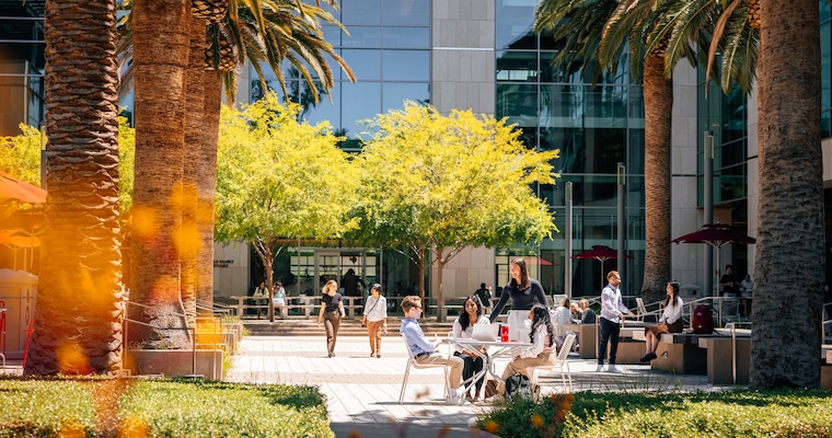 Leavey grad students meeting outdoors on campus under the California palm trees