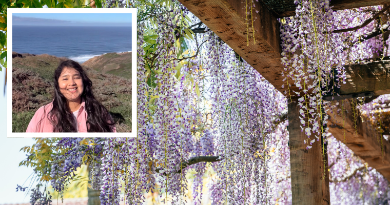 MBA candidate Uma Kaipa over Santa Clara Mission Gardens wisteria image link to article