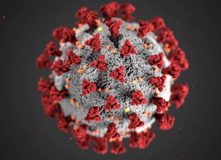 Image of coronavirus image link to story