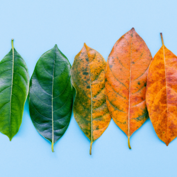 Adapting Your Business for Change Session Image