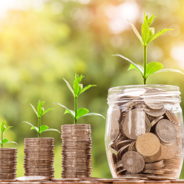 Jar filled with coins with a plant sprouting from the top next to stacks of coins also with sprouts.