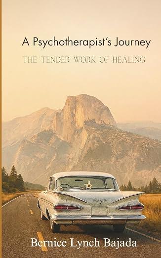 A Psychotherapists Journey Book Cover 