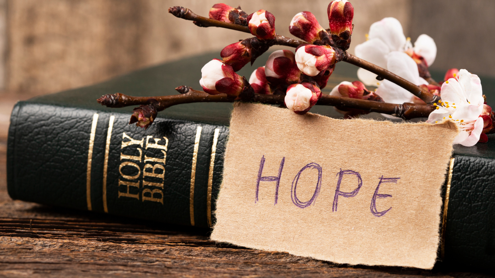 A handwritten note that says hope propped up by a holy bible and flower buds