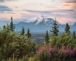 View of snow-capped mountain.