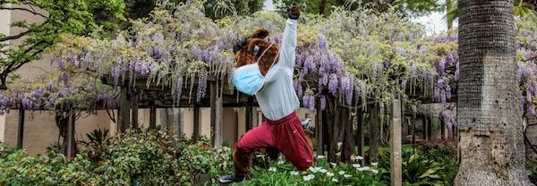 Bucky jumping in mask