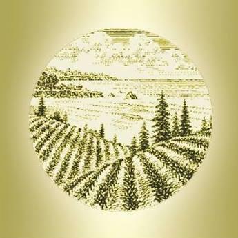 AL - VSC Bargetto Logo