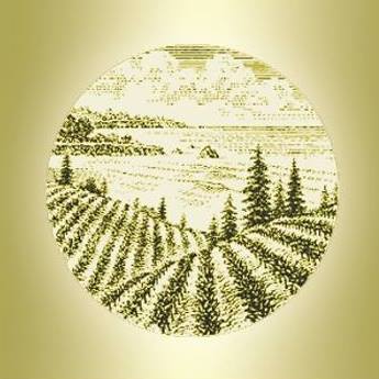 AL - VSC Bargetto Logo 