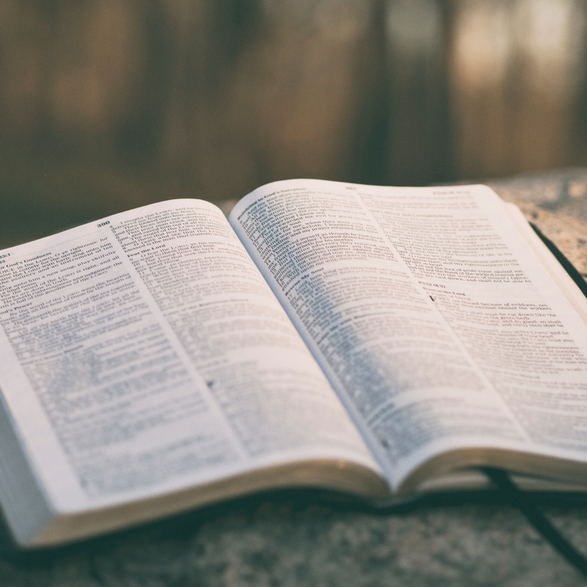 Bible Open image link to story
