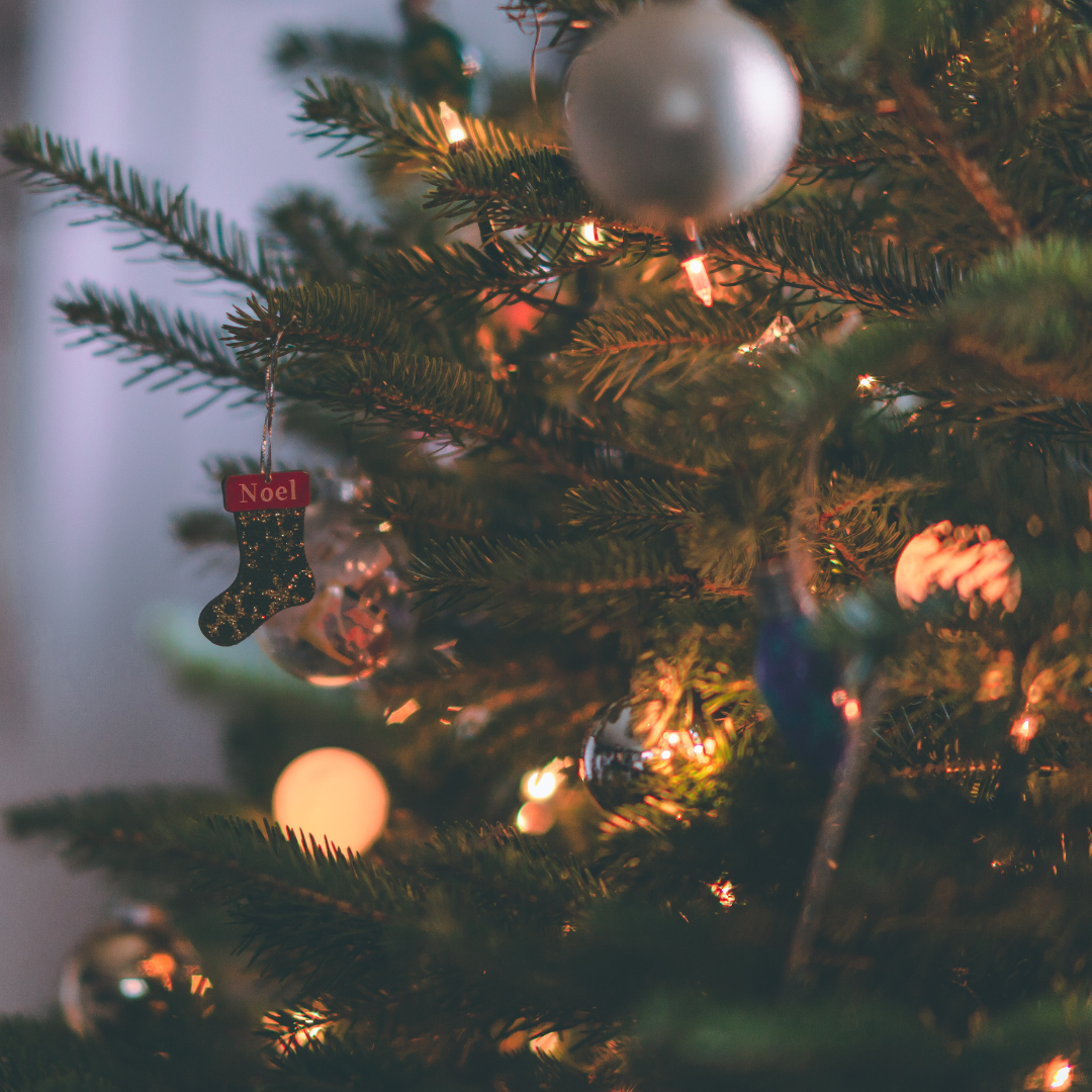 Christmas Tree image link to story