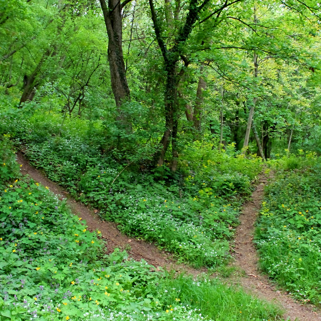 Aidan O'Neill image link to story