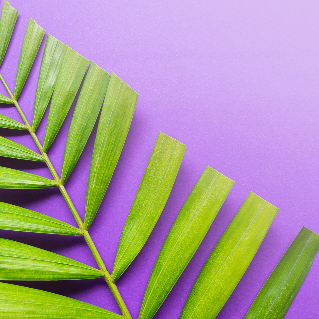 Lent Graphic image link to story