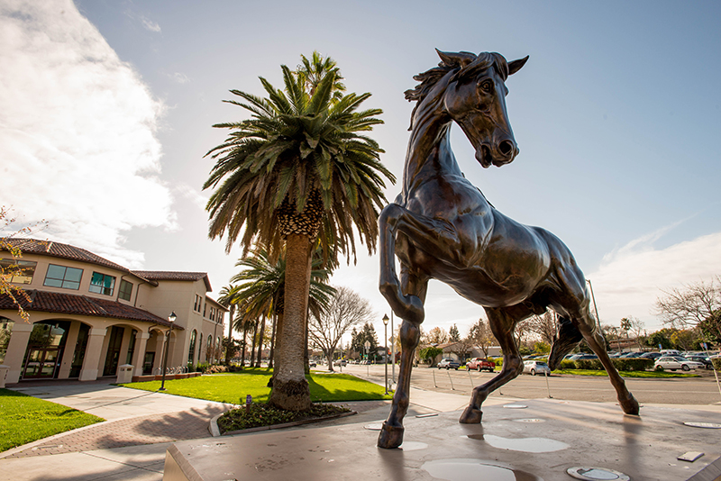 Bronco statue in front of building with palm tree. 