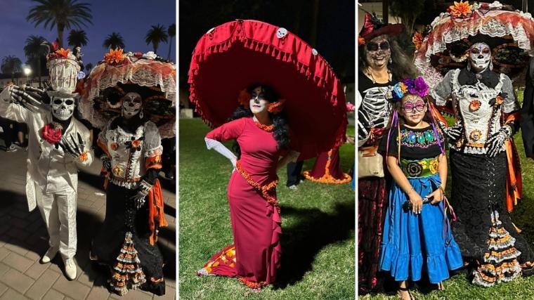 Catrina Competition