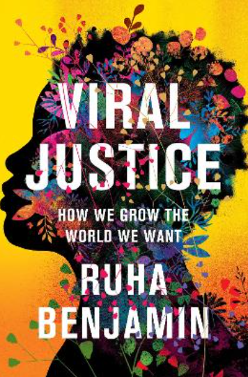 Cover image of Viral Justice Book