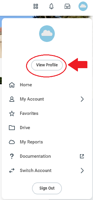 Click on the 'View Profile' button, which will bring up your profile summary page.
