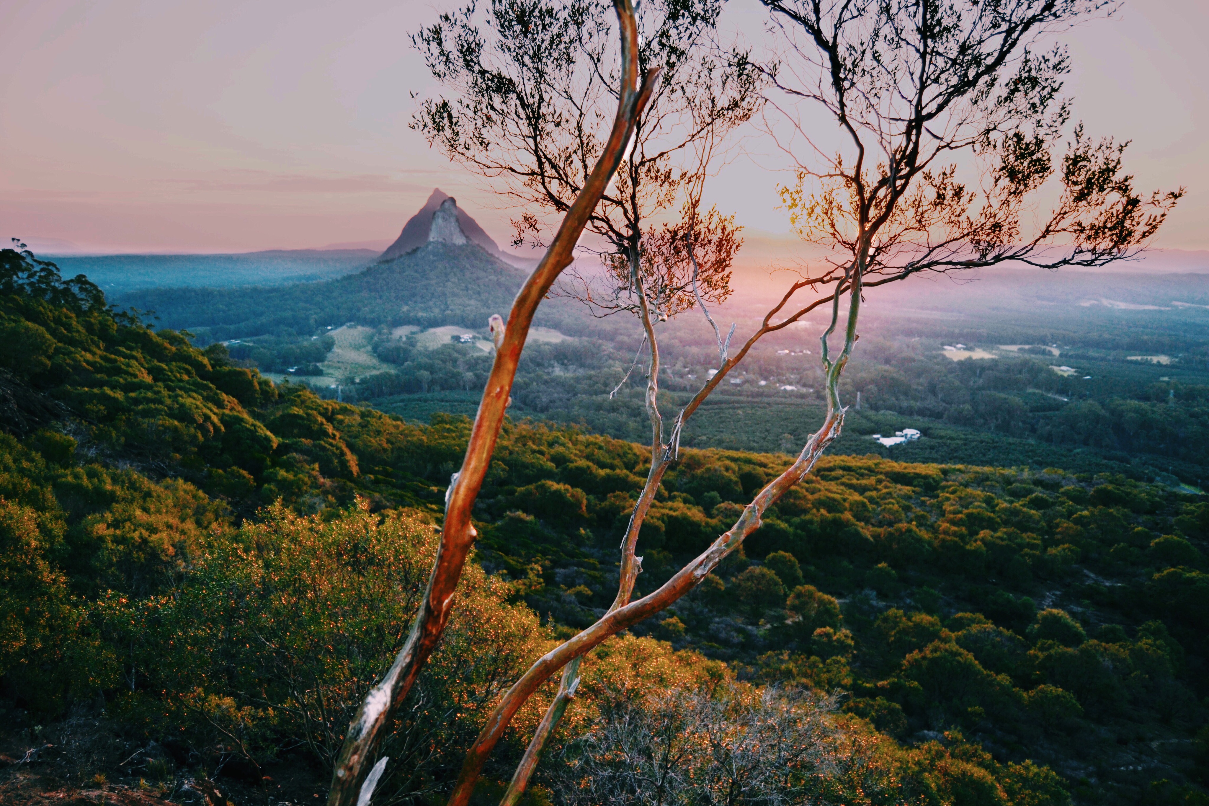 Sunset view of a mountain and valley framed by a tree.