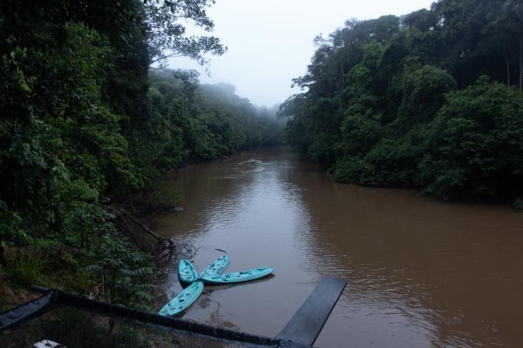 Cuyabeno River at the Tucan Lodge in the Cuyabeno Wildlife Refuge in Ecuador; striking blue kayaks on dark water