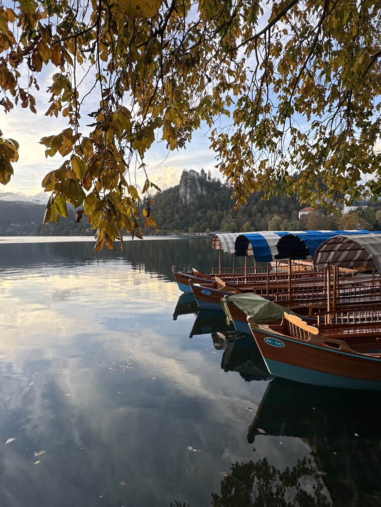 Lake Bled in Slovenia with traditional pletna boats