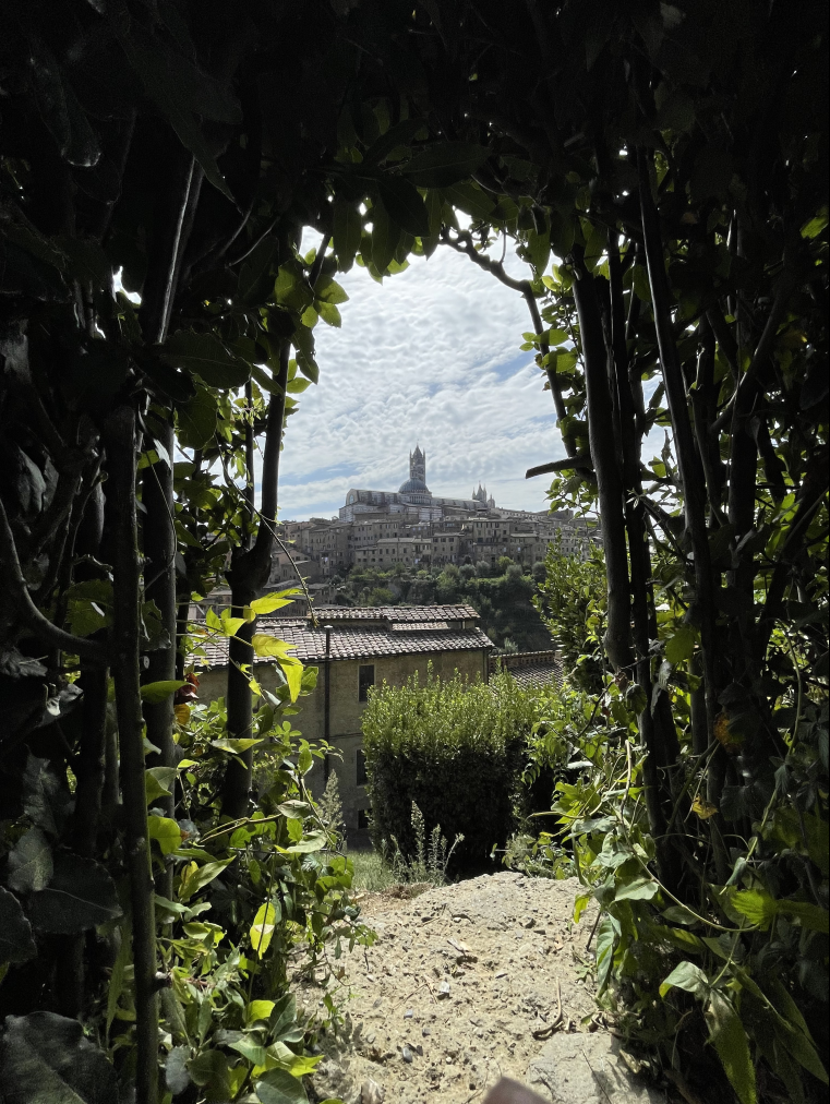 Siena, Italy; medieval castle photographed beyond an archway of shrubs