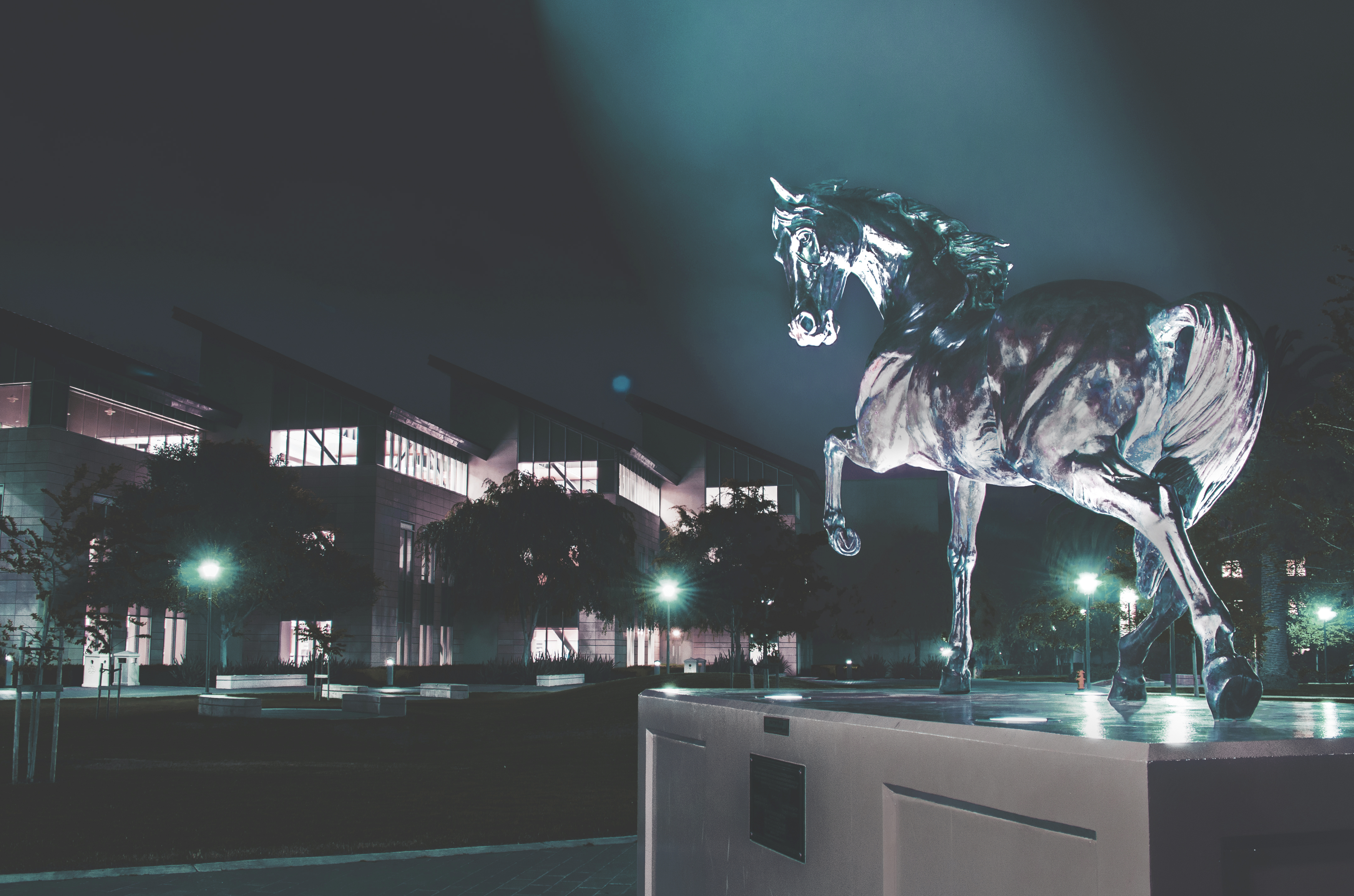 A metallic sculpture of a wolf illuminated at night.