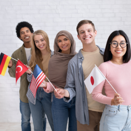 Diversity and Identity Abroad Plain 