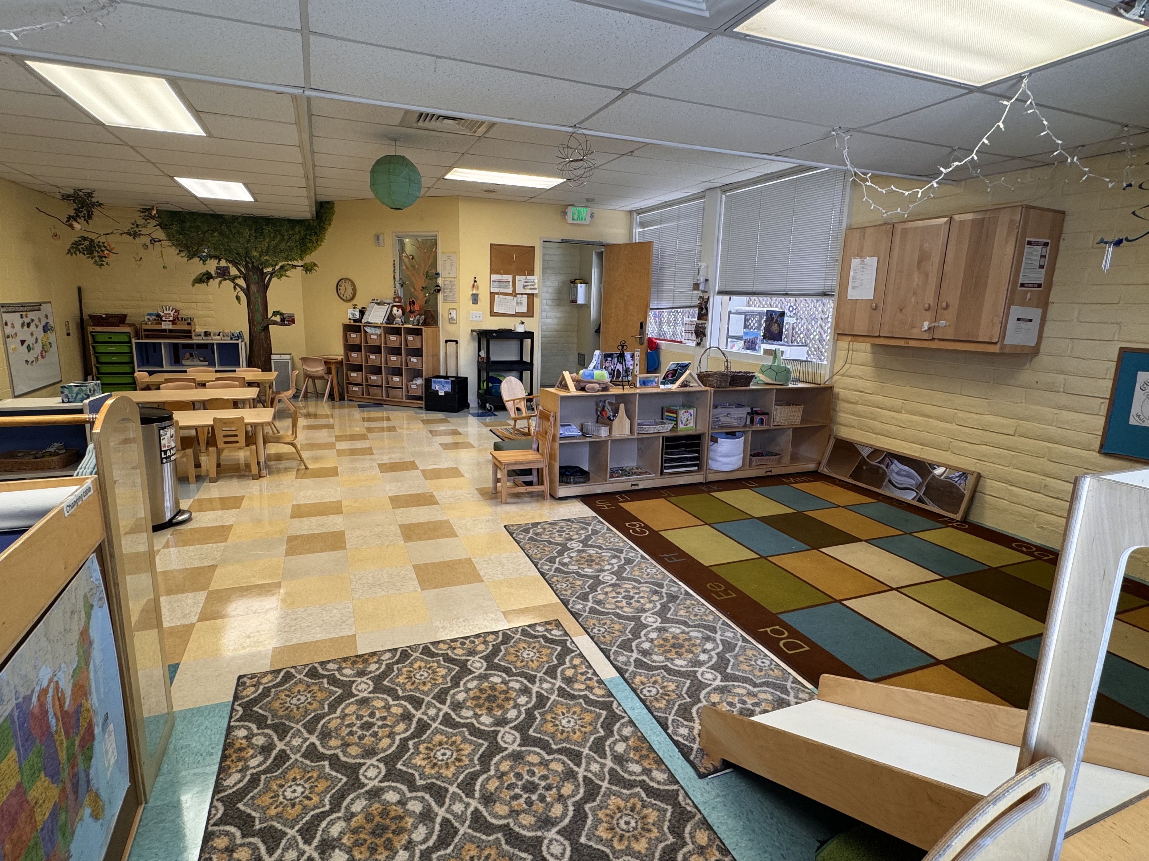Turtle classroom (tables, chairs, carpets)