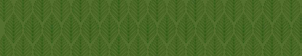 Green banner with palm leaves 