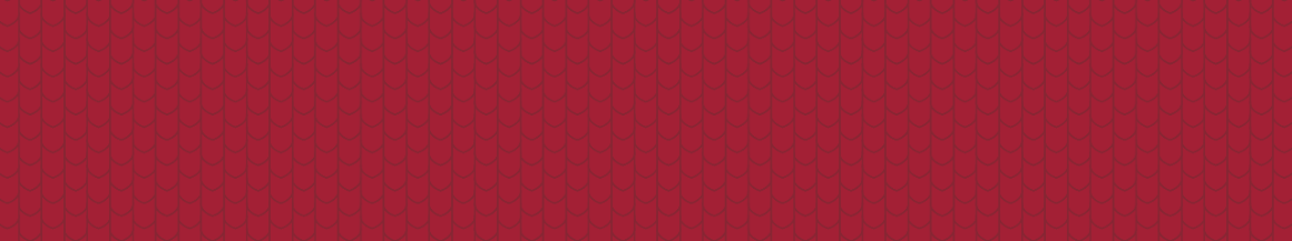 SCU Red banner with shield graphics 