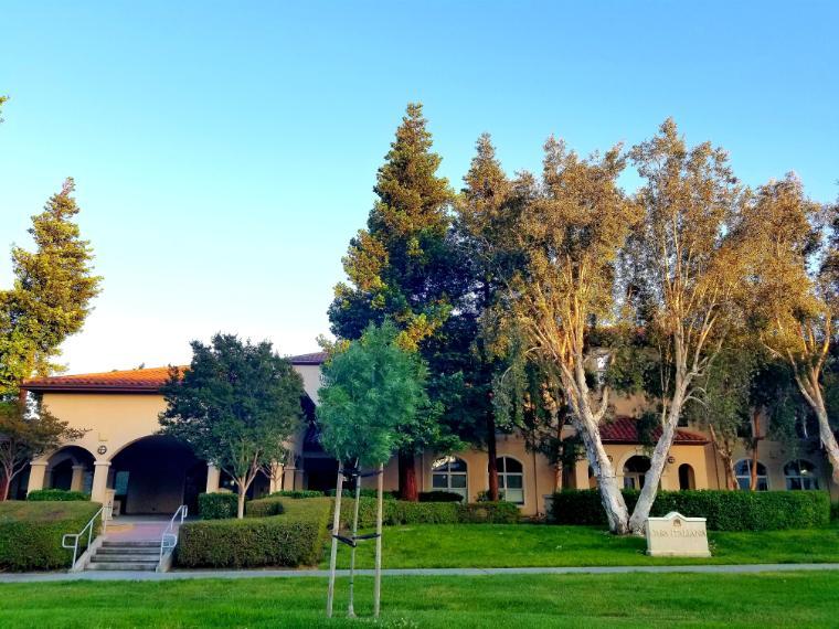A house surrounded by trees and lawn on a sunny day.