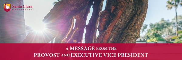 Banner for Provost and Executive Vice President with sunlight shining through woody wisteria branches