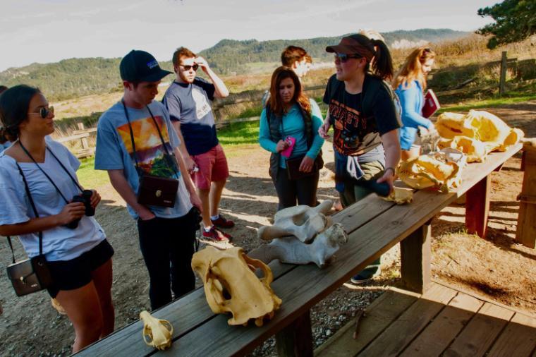 Ano Nuevo (Santa Clara Stories) 