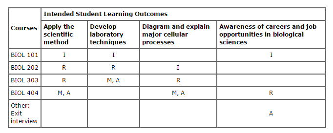 Curriculum Matrix table displaying courses, levels, and key outcomes.