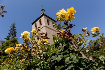 Flowers at Santa Clara
