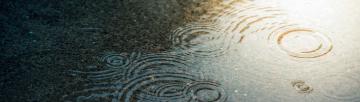 A puddle with raindrop ripples and sunlight