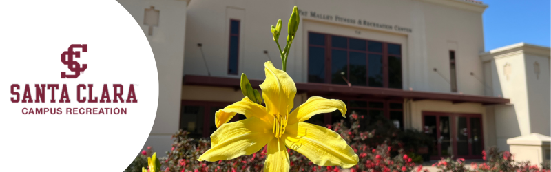 On the right there is the Santa Clara Recreation Center logo and the right has a picture of a yellow flower with the pat malley center in the background.