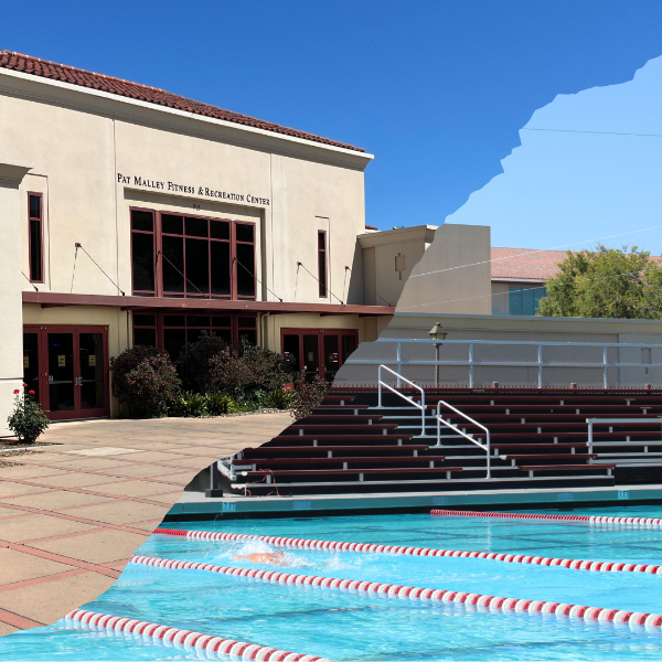 Split image of Malley (front) and Pool (laplanes)