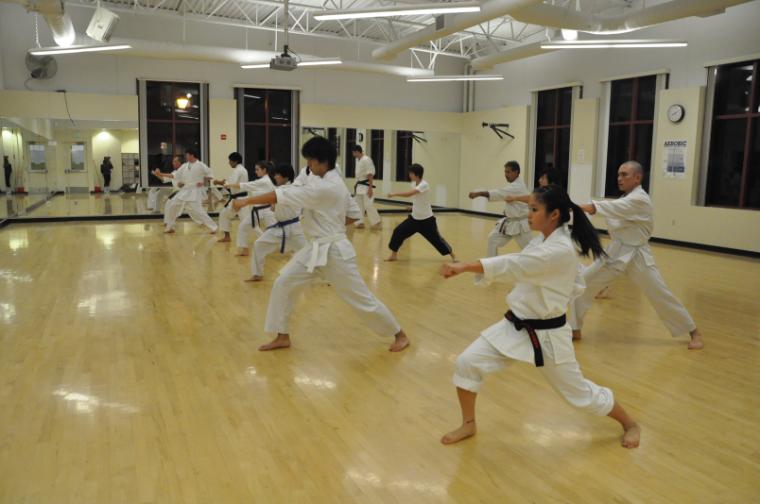A photo from years ago of the Karate team having practice