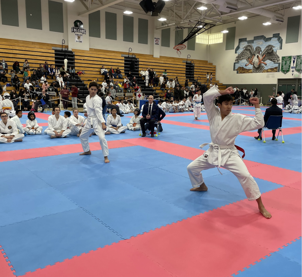 Picture shows two students in fighting position at a tournament.