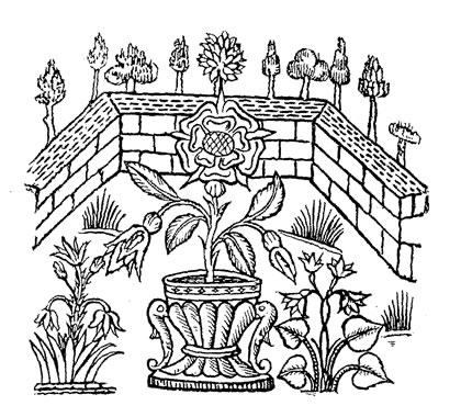 Garden Engraving