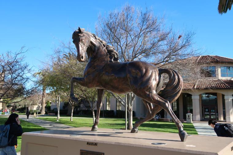 Photo of the Bronco statue on campus