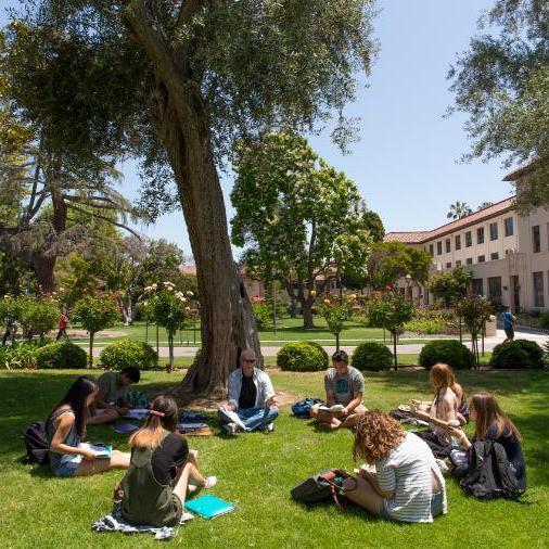 A group of students enjoying the sunshine outdoors near a large tree. Links to Sustainability Pathway page.