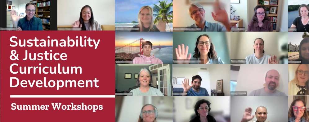 Graphic showing a zoom screen with the text Sustainability and Justice Across the Curriculum Development Summer Workshops.