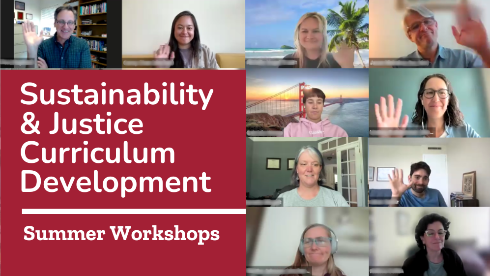 Graphic showing a zoom screen with the text Sustainability and Justice Across the Curriculum Development Summer Workshops. image link to article