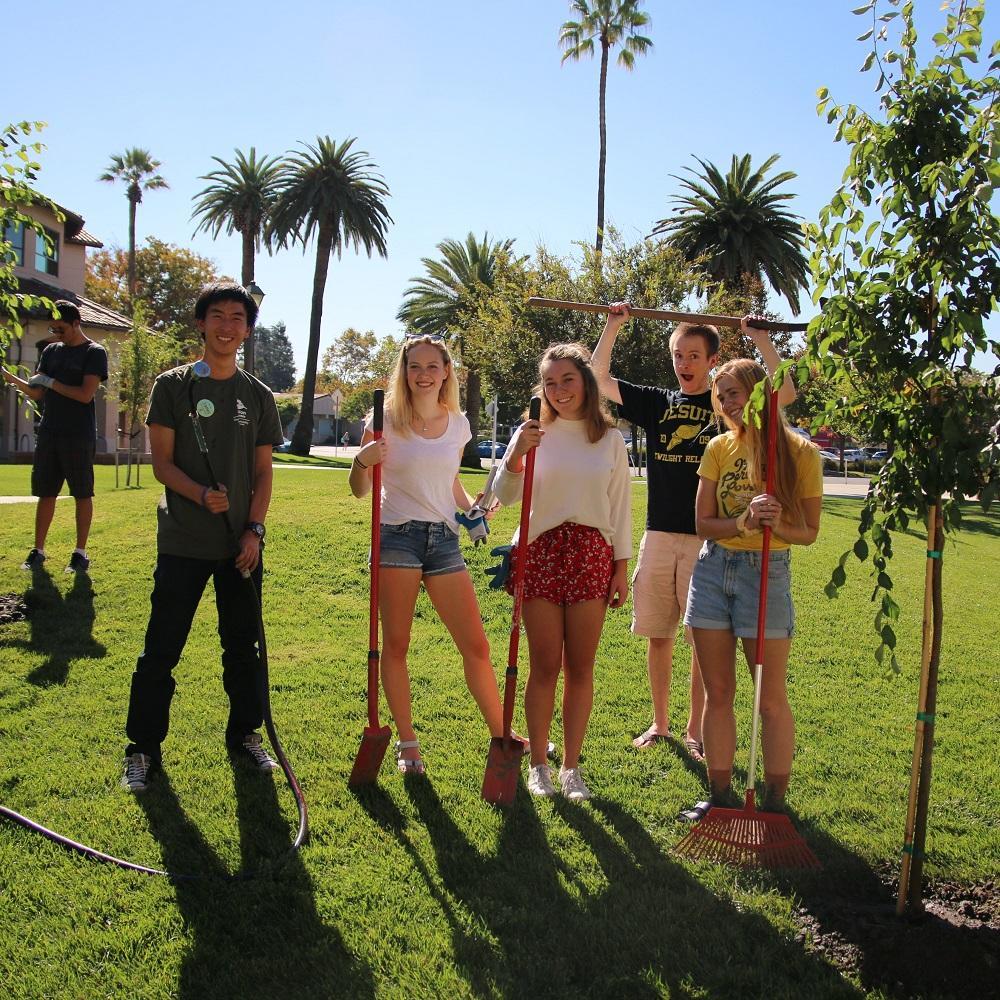 A group of 5 students next to the tree they planted