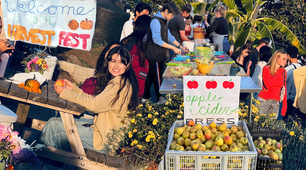 Students gathered at Harvest Fest 2025 image link to article
