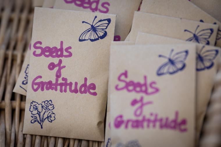 2025 Sustainability Celebration: Seed packets with text 